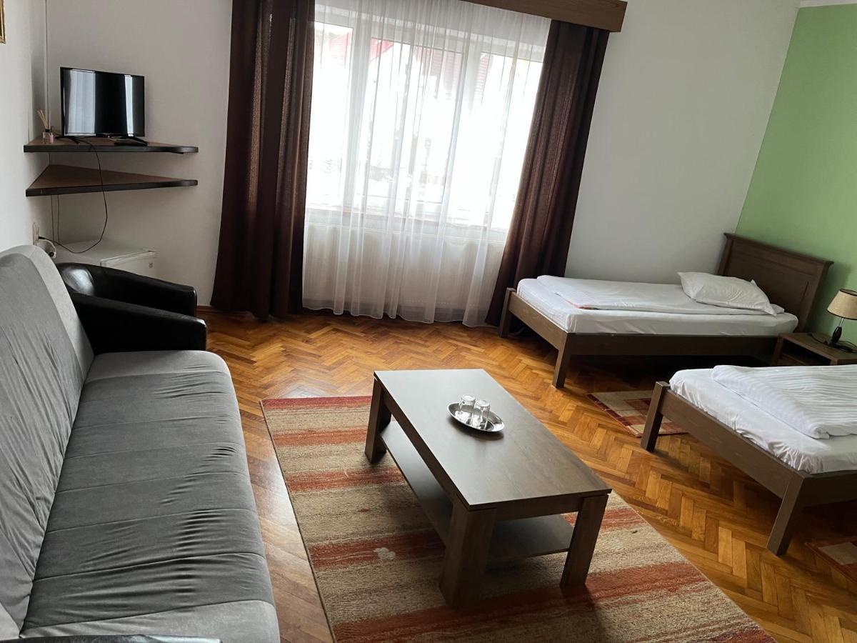 Pensiunea Diana Hotell Făgăraş Exteriör bild